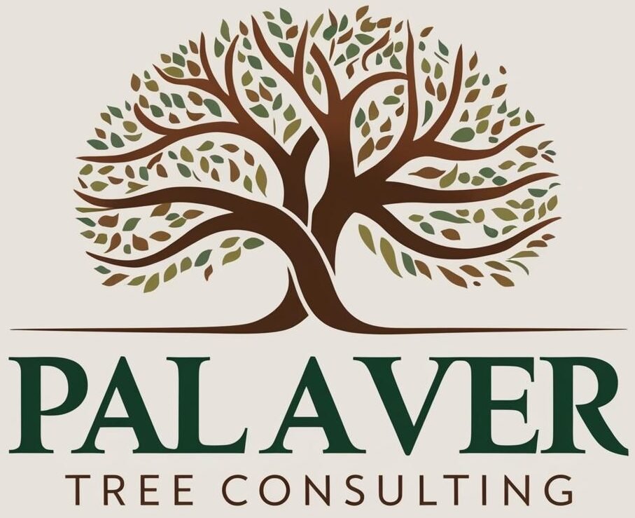 'Palaver Tree Consulting  |  palavertreeconsulting.com  |  The just balance — neither extreme, but the wise middle path.'